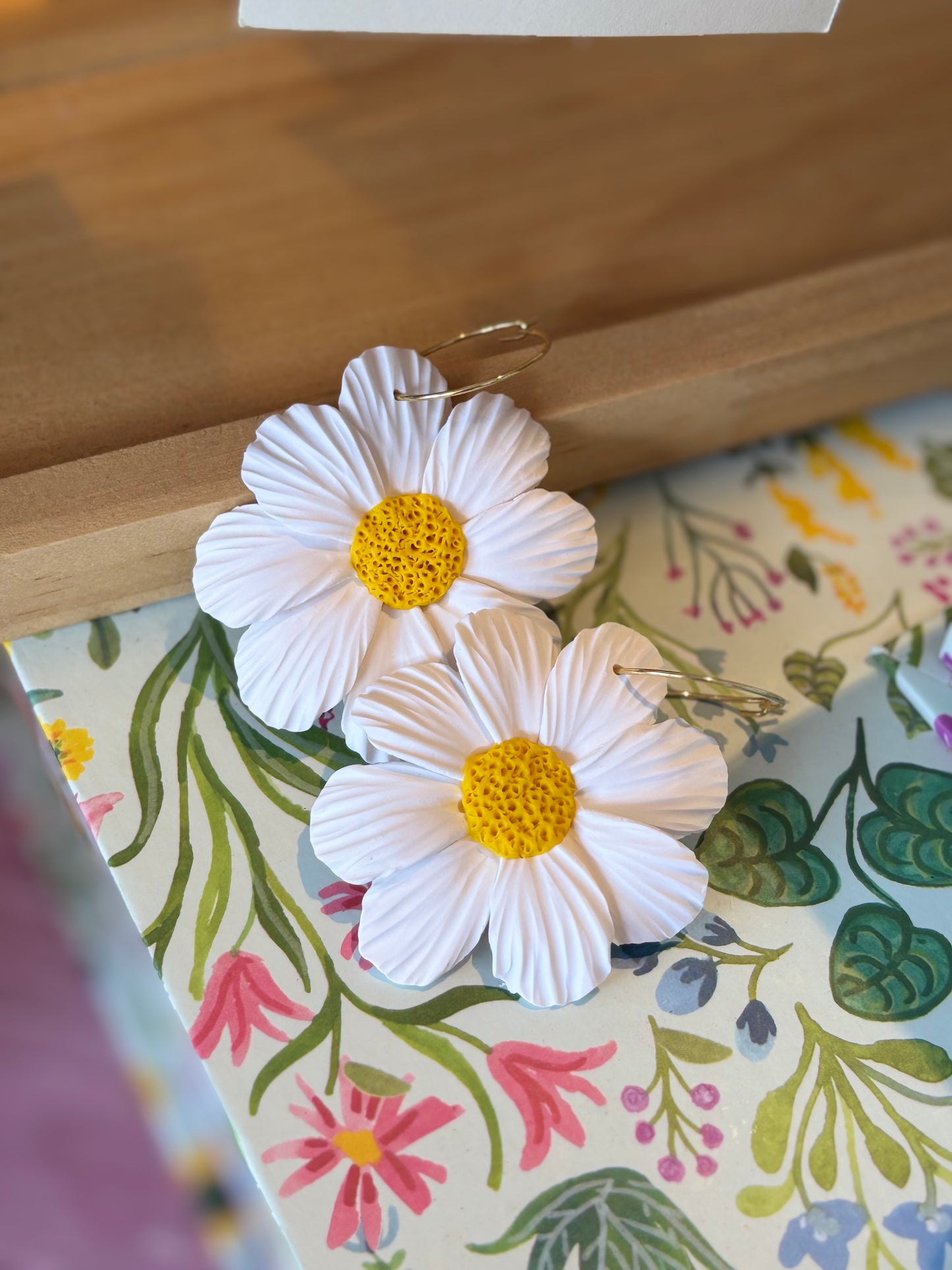 Daisy Season 🌼