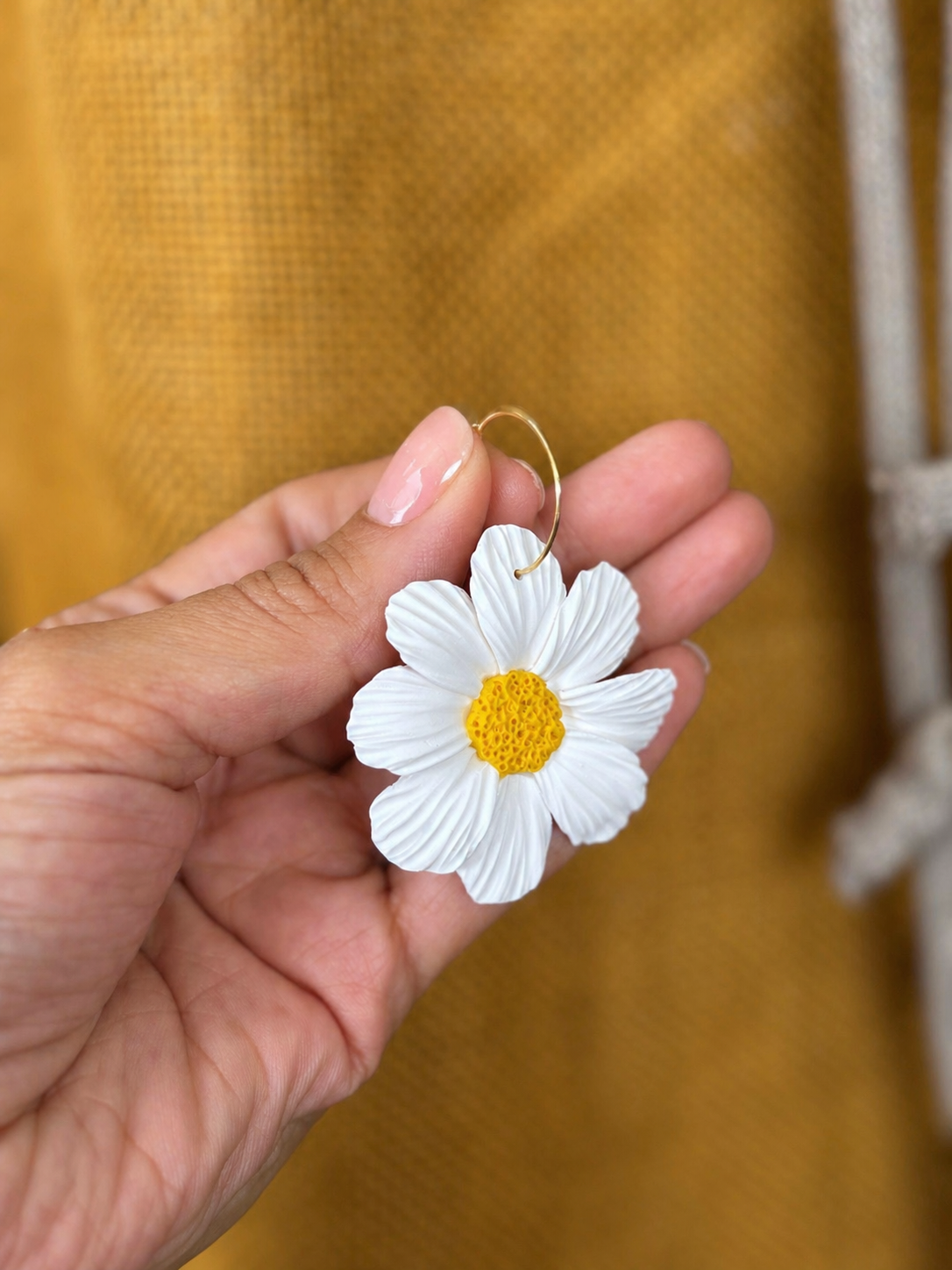 Daisy Season 🌼